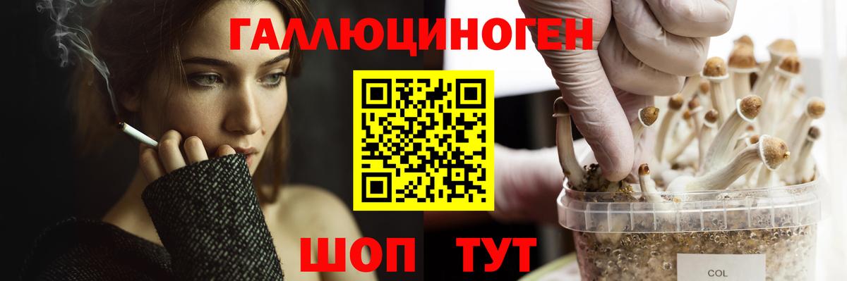 Галлюциногенные грибы Magic Shrooms Полевской